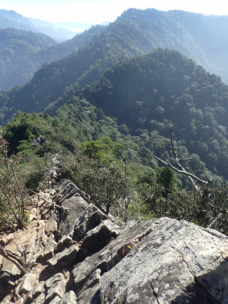 PA185541.JPG - 再訪---  台中  和平  鳶嘴山