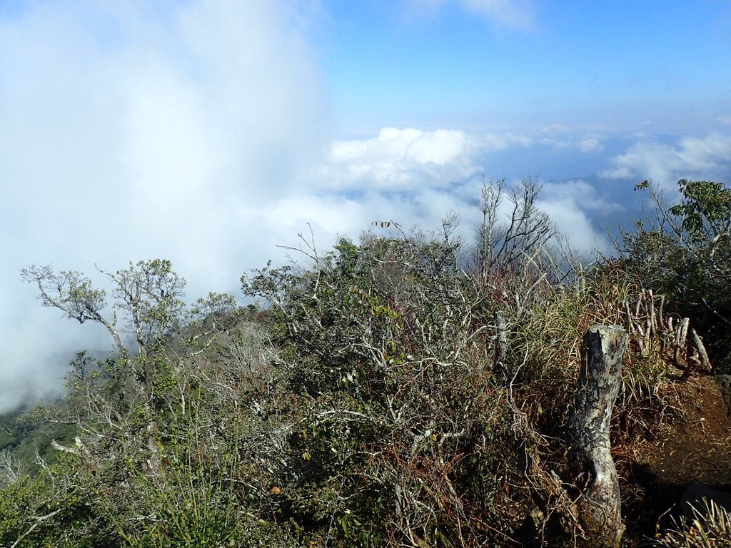 P2034876.JPG - 南庄  加里山