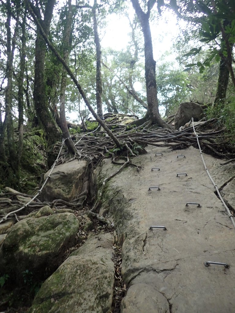 P2034933.JPG - 南庄  加里山