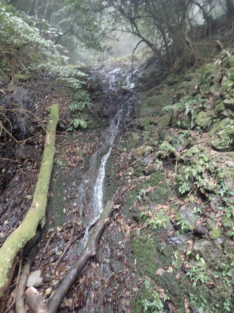 P2034985.JPG - 南庄  加里山  森林鐵道