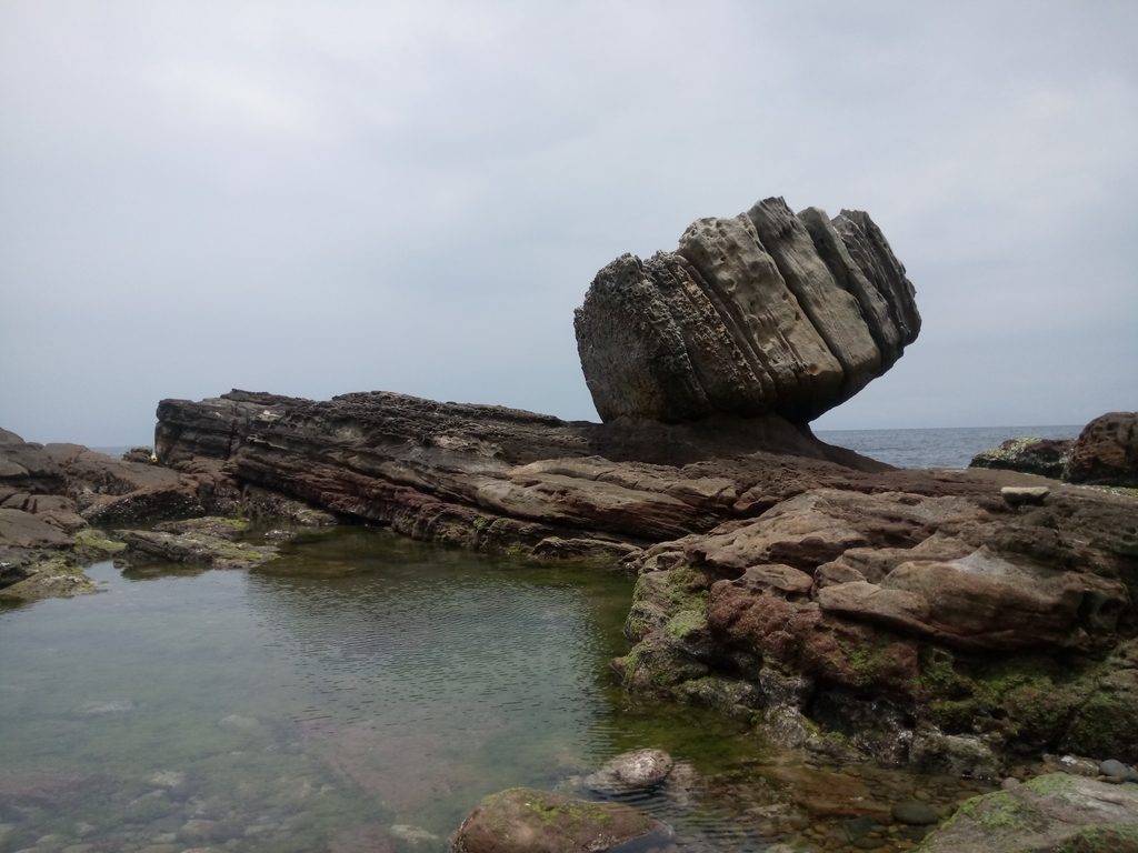 DSC_7996.JPG - 萬里  拳頭石海岸