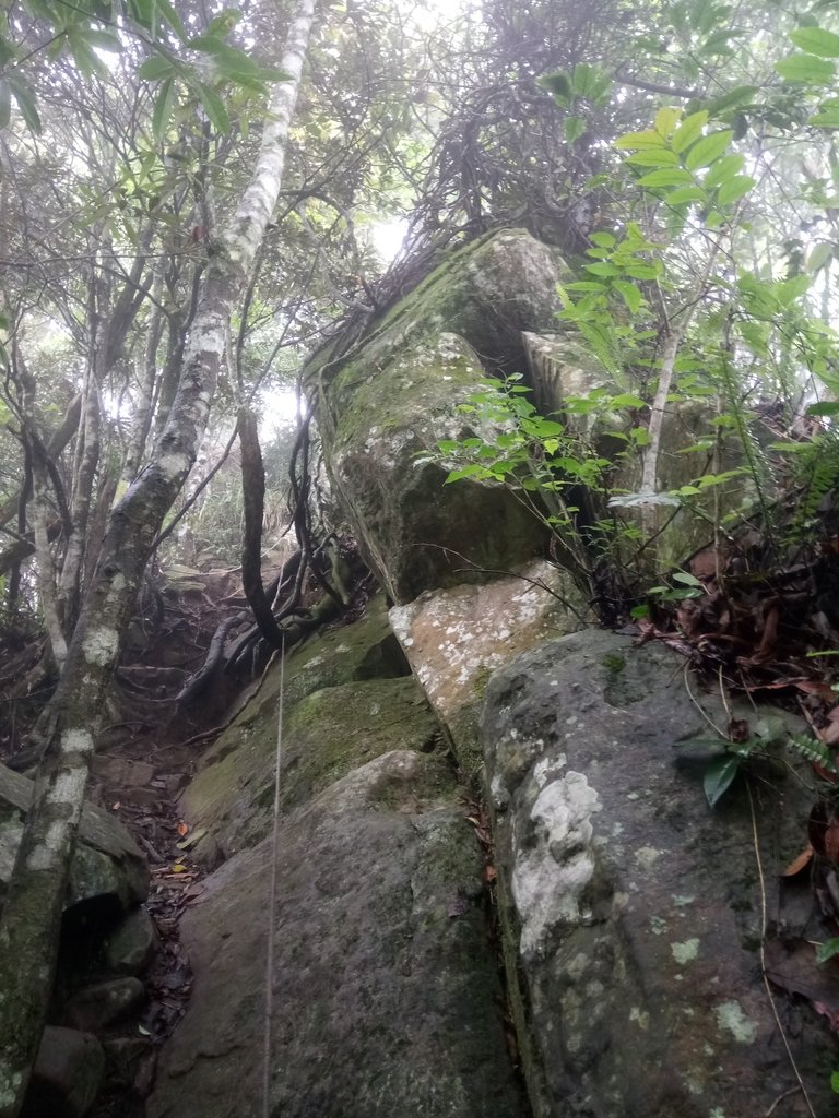 DSC_2932.JPG - 南庄  向天湖山  光天高山