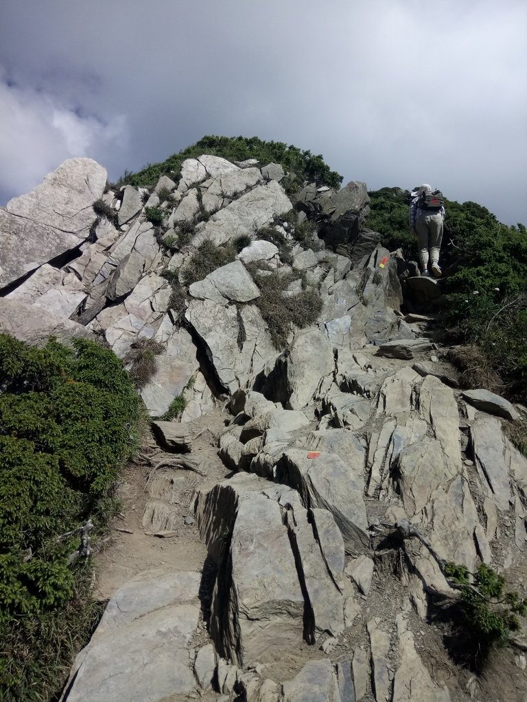 DSC_5349.JPG - 合歡山  北峰之美  (上)