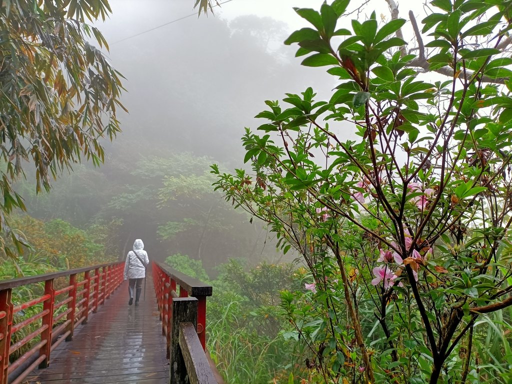 IMG20210108112829.jpg - 梅山  瑞峰村  竹坑溪步道